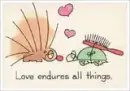 love endures all things