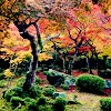 autumn avatar