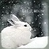 winter bunny