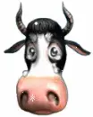 sad cow