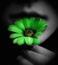 Color of Love
