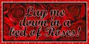 Lay me down in a bed of roses!