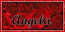 Angela (bed of roses)