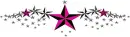 Starry banner
