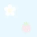 BG â–“ - flower and strawberry