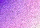 brushed design