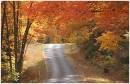 Fall  Street