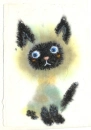 Kitten â™¥