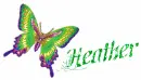 Heather