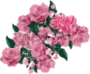 Rose Bunch Red