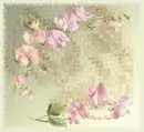 Orchid Tag