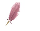 Feather Pen Rose - Trishna