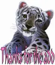 leopard, thanks for the add