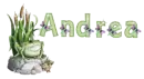 Andrea