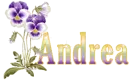 Andrea