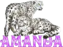 Amanda