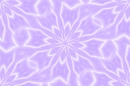 Purple Pansy back
