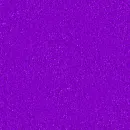 Purple Moo Back