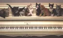 ready for music lesson
