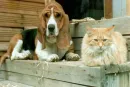 friends