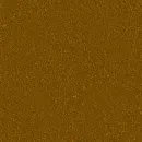 brown gold mooback1