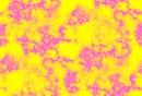 Moo pink yellow marble back