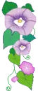 purple flower