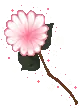 PINK LIL FLOWER