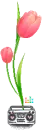 FLOWER RADIO