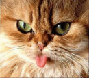green eyes