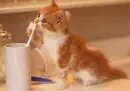 must.. wash my teeth??
