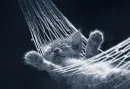 relaxing