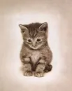 so cute