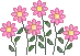 pink flowers