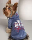 Juicy Couture Kinda Dog