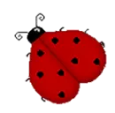 LadyBug With Name