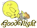 Goodnight Tweety