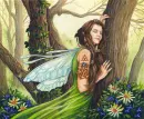 Fairy Forest