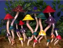 Mushrooms