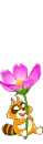 purple flower