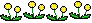 little flowers
