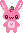 Cute Bunny