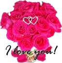 I love you (dozen pink roses)