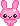 Cute Pink Bunny