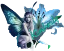 Kimberly - Blue FairyFlower