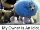 "My Owner Is An Idiot"