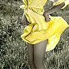 yellow