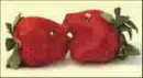 Kissing Strawberries