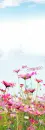 LOVELY SPRING FLOWERS