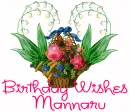 Birthday wishes Mannaru